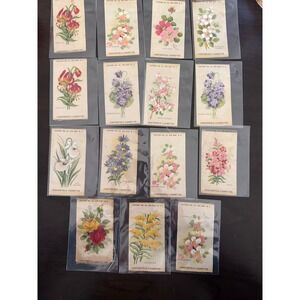 Chesterfield Cigarettes Silk Flower Inserts Lot of 15 Antique Botanical 1900's